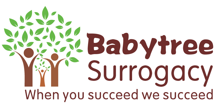 BabyTree surrogacy photo