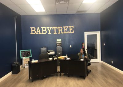 BabyTree surrogacy photo