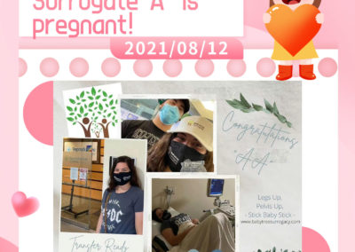 BabyTree surrogacy photo