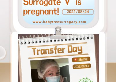 BabyTree surrogacy photo