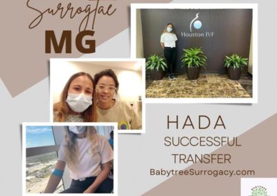 BabyTree surrogacy photo