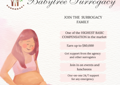 BabyTree surrogacy photo