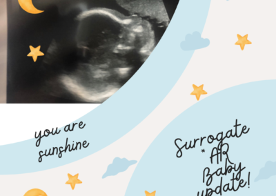 BabyTree surrogacy photo