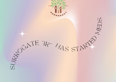 BabyTree surrogacy photo