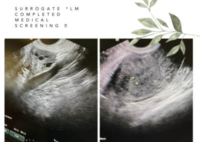 BabyTree surrogacy photo