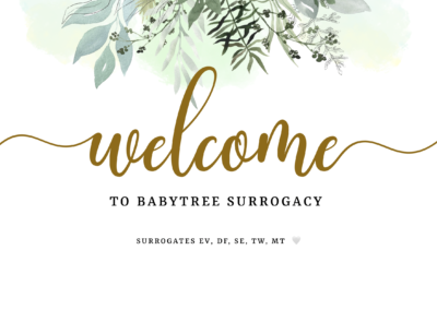 BabyTree surrogacy photo