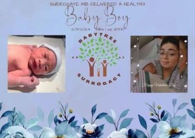 BabyTree surrogacy photo