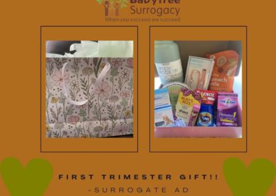 BabyTree surrogacy photo