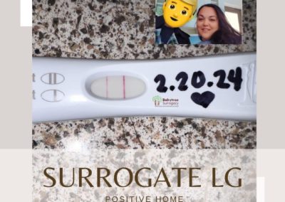 BabyTree surrogacy photo