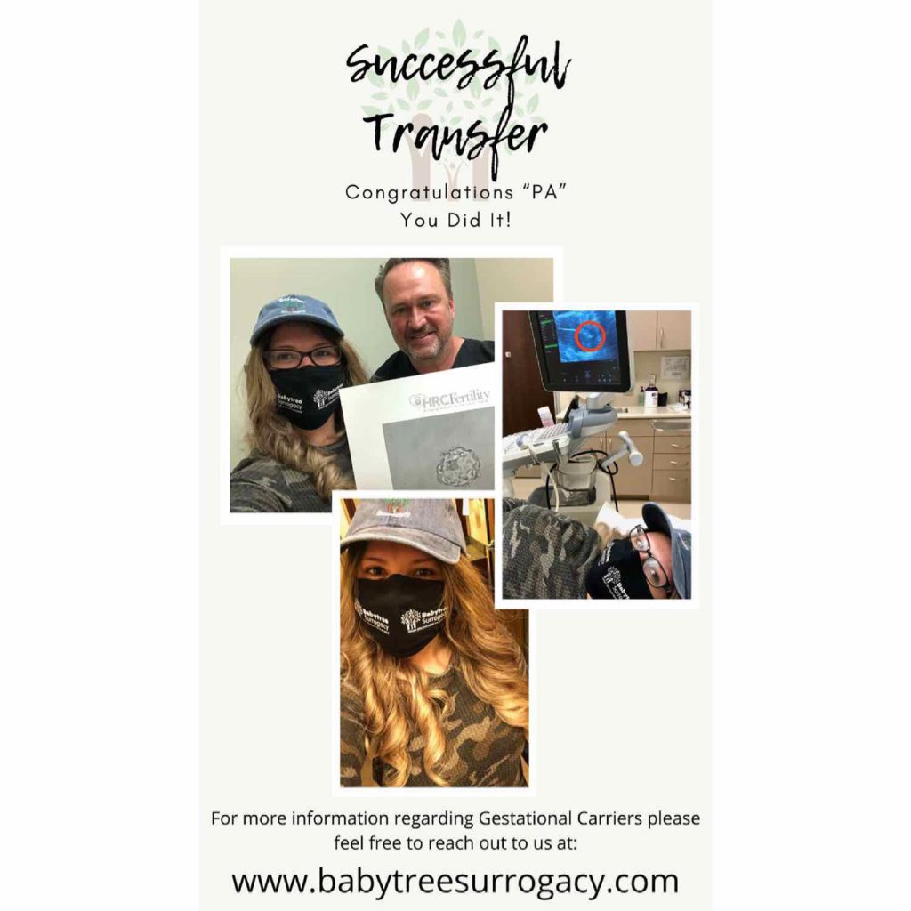 we have another baby coming soon!, perlita transfer