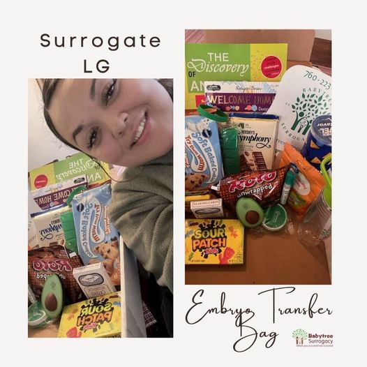 surrogate lg embryo transfer bag