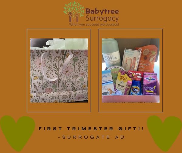 surrogate ad received her first trimester gift