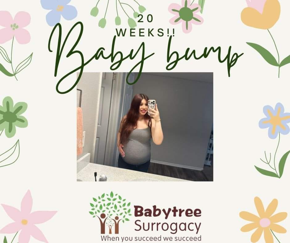 baby bump update from our wonderful surrogate jdt!! she is weeks now, bump