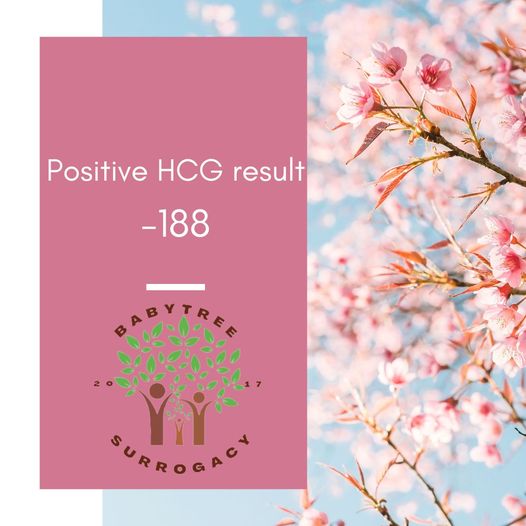 another beautiful blessing is on the way!!! one of our amazing surrogates has received a positive hcg beta result of, positive hcg beta result of