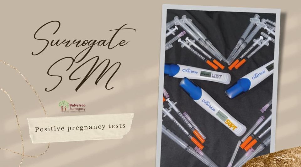 surrogate sm positive pregnancy test!, pregnancy