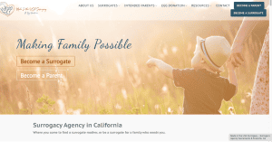 Babytree Surrogacy helps people become parents or surrogates, showing hope and connection in a caring way.