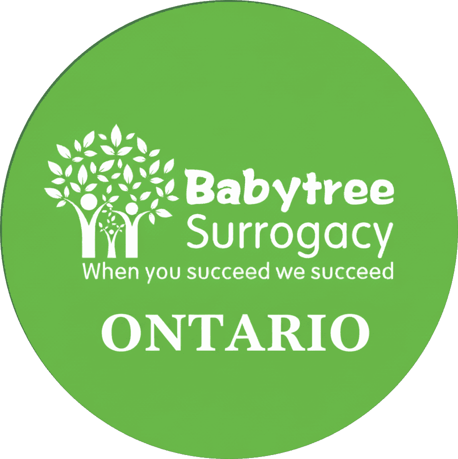 Babytree Surrogacy logo showing Ontario and slogan: When you succeed we succeed. It highlights support for families in Ontario. babytree
