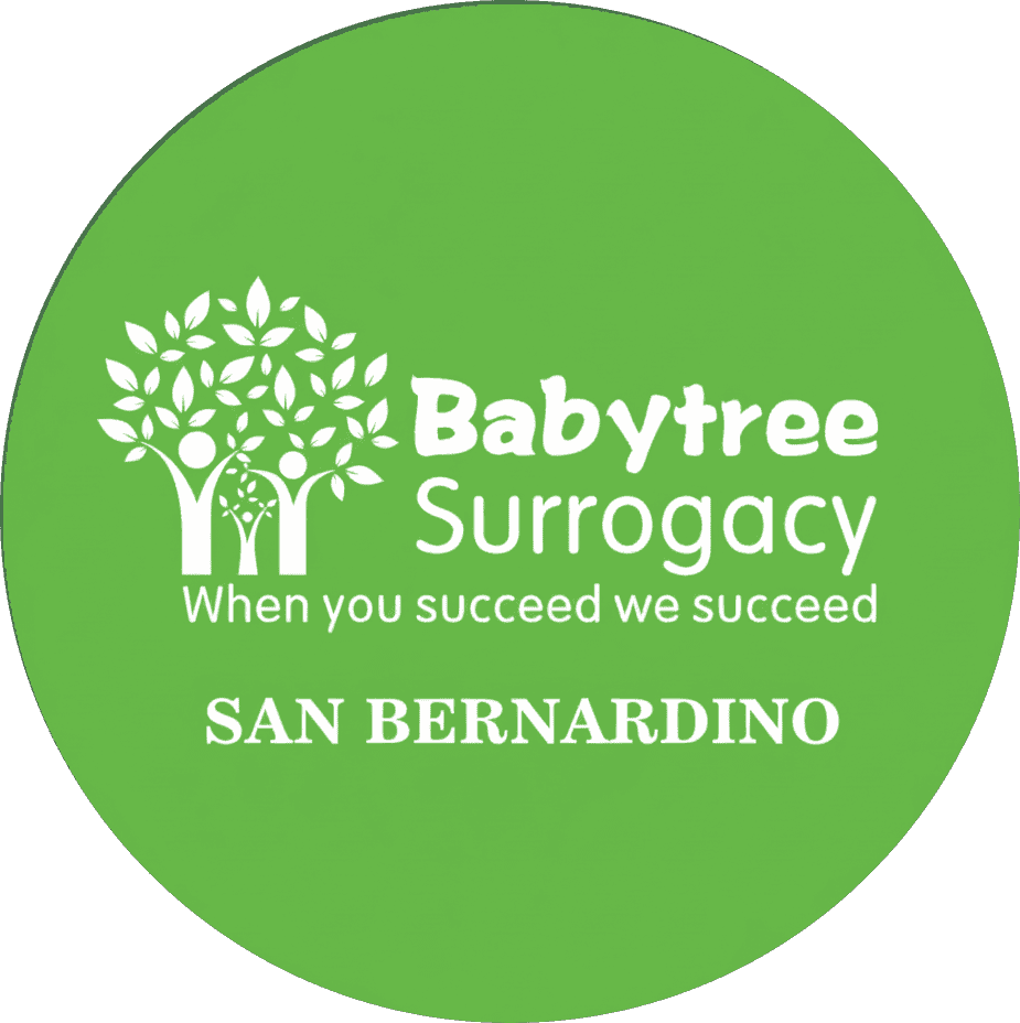 Babytree Surrogacy logo highlights support and connection, with the message &ldquo;When you succeed we succeed.&rdquo; SAN BERNARDINO shown. babytree